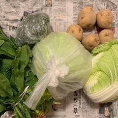 【受け渡し者様決定済み】野菜セット②