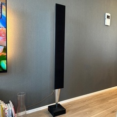 B&O beolab8000 2本