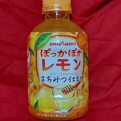 ぽっかぽっかレモンはちみつ仕立て【新品】常温