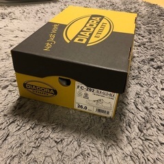 新品未使用✨ディアドラ　安全靴　26.0cmの画像