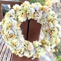 せんにちこう　　jagの画像