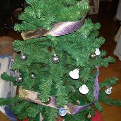 クリスマスツリーの画像