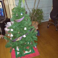 クリスマスツリー