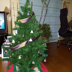 クリスマスツリーの画像