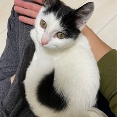 里親募集