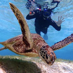 【福岡から宮古島へ】東洋一のビーチがある宮古島で働きませんか？の画像