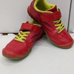 スポーツ用　20cm