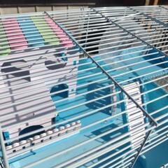 お話し中!ハムスター飼育ケージ　必要なものすべて込み