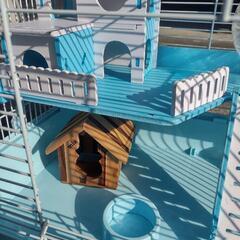 お話し中!ハムスター飼育ケージ　必要なものすべて込みの画像