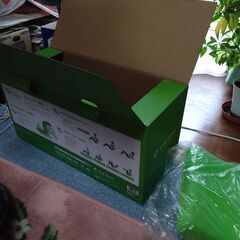 ゆらころんの画像