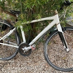 トレック＊クロスバイク