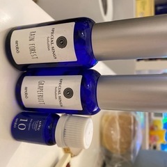 SPECIAL SINGS 加湿器芳香剤