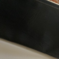 約束中ポーチブラック　無料