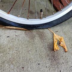 折りたたみ自転車【一旦受付終了】の画像