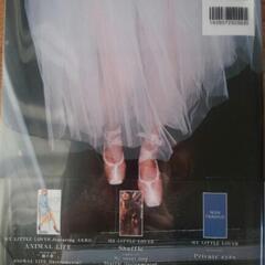 1月11日まで My Little Lover AKKOの写真集 「female AKKO」の画像