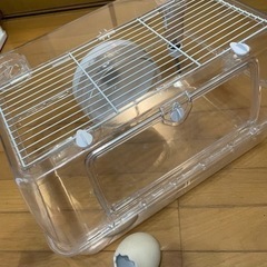値下げしたよ。ハムスターケージセット　たまご無料サービス中