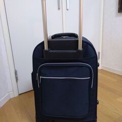 旅行用バックの画像