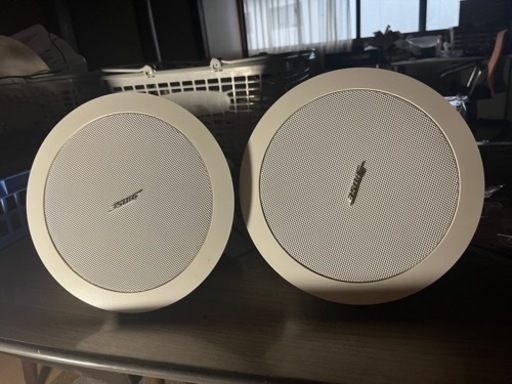 BOSE DS16F2個セット