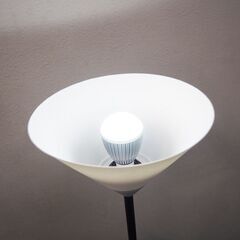 スタンドライト フロアスタンド 照明 LED (JA28)の画像