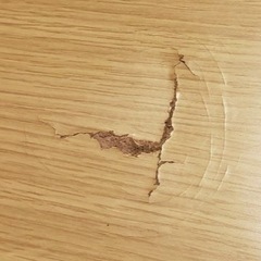 早い物順！コタツテーブルの画像