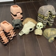 爬虫類用品 中古シェルターセット