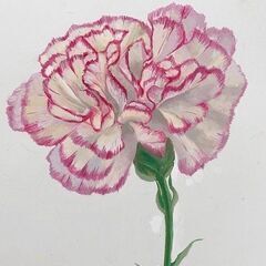 油絵・デッサン家庭教師
