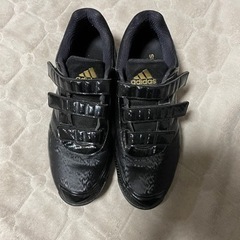 アディダス　トレーニングシューズ