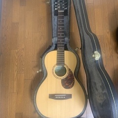 サイモン＆パトリックのギター　ハードケース付きの画像