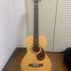 サイモン＆パトリックのギター　ハードケース付き