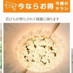 キシマ　シャンデリア　の画像