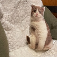 フランフラン　猫クッション