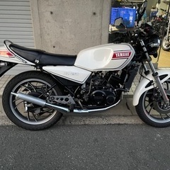RZ250 の画像