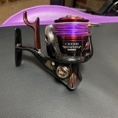 BB-X Larissa C3000DXG