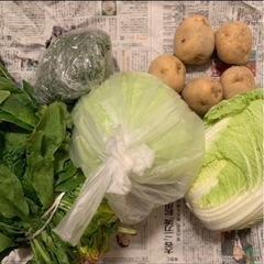 【受け渡し決定】野菜5種セット