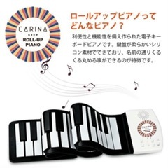 カリーナ　49鍵盤の画像