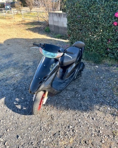 458. 動画あり　ホンダ　ライブディオZX仕様　原付　バイク　50cc   車体