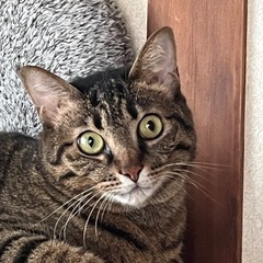 友達欲しいな