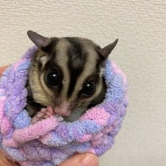 里親様決まりました。