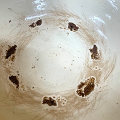 古い　大きめ　メダカ鉢　水盤　睡蓮鉢　植木鉢カバー　等　　庭飾り　底面屋号刻印有りの画像