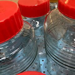 梅酒瓶　空き瓶　0円！　無料！　の画像
