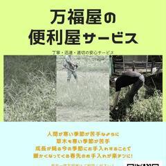 無料？！モニターさん募集