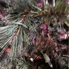 クリスマスツリー2m10cmの画像