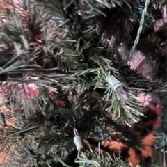 クリスマスツリー2m10cmの画像