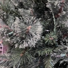 クリスマスツリー2m10cmの画像