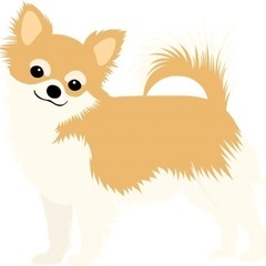 犬　しつけにしついて