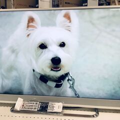 TOSHIBA/東芝 40インチ 液晶テレビ 2018年製 40M510X リモコン付【ユーズドユーズ名古屋天白店】J2284