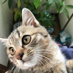 ちゃっかりカブちゃん😺