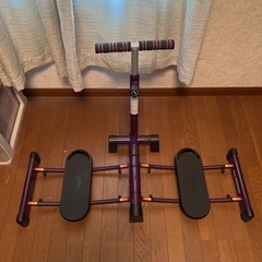 レッグマジックX