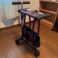 レッグマジックXの画像
