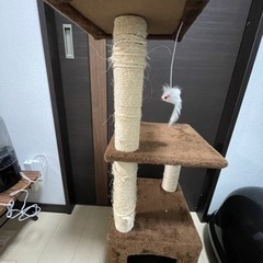 【受け渡し者決まりました】猫用品いろいろまとめての画像